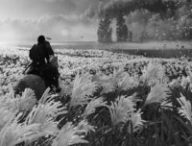 Ghost of Tsushima // Source : Capture PS5