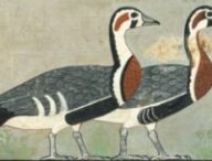 Zoom sur les oies issues d'une espèce disparue. // Source : Peinture issue de la tombe d'Itet (ancien empire de l'Égypte antique, 4 600 ans avant le XXIe siècle).