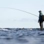 Phishing à la ligne // Source : CCO/pixabay Phishing à la ligne // Source : CCO/pixabay