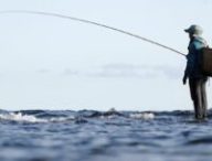 Phishing à la ligne // Source : CCO/pixabay