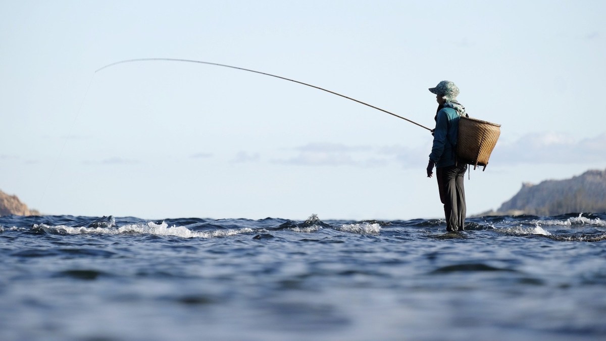 Phishing à la ligne // Source : CCO/pixabay Phishing à la ligne // Source : CCO/pixabay