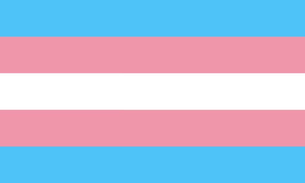 Le drapeau trans // Source : Wikipedia Le drapeau trans // Source : Wikipedia