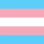 Le drapeau trans // Source : Wikipedia Le drapeau trans // Source : Wikipedia