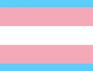 Le drapeau trans // Source : Wikipedia