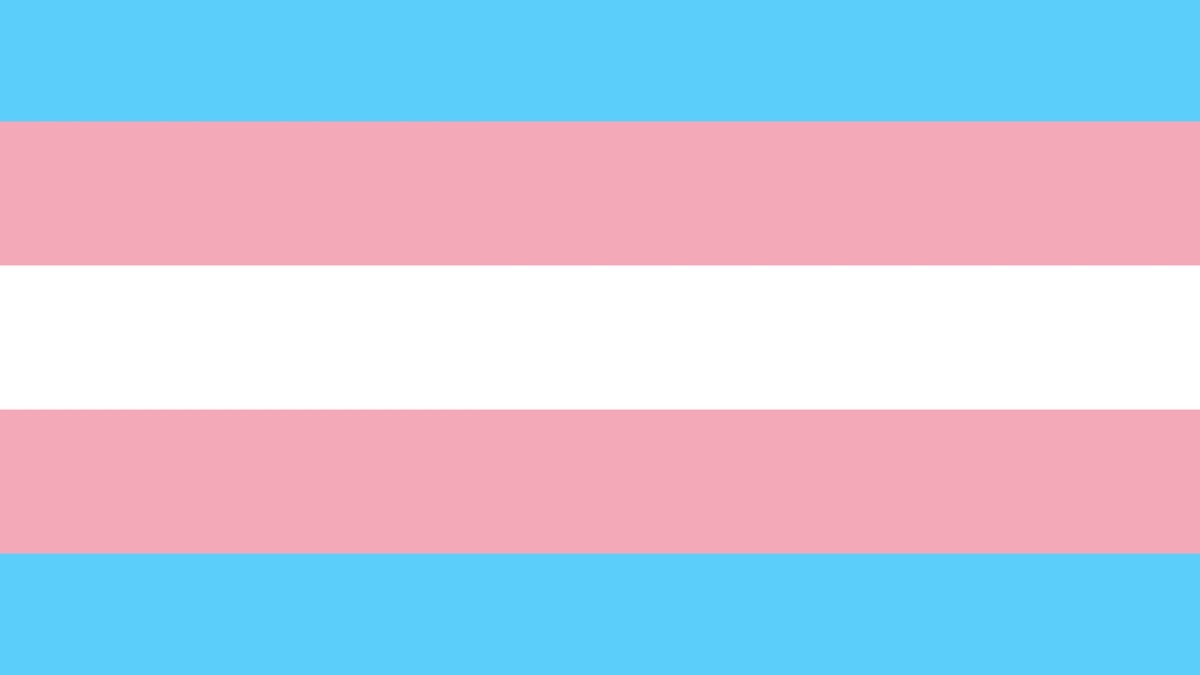 Le drapeau trans // Source : Wikipedia Le drapeau trans // Source : Wikipedia