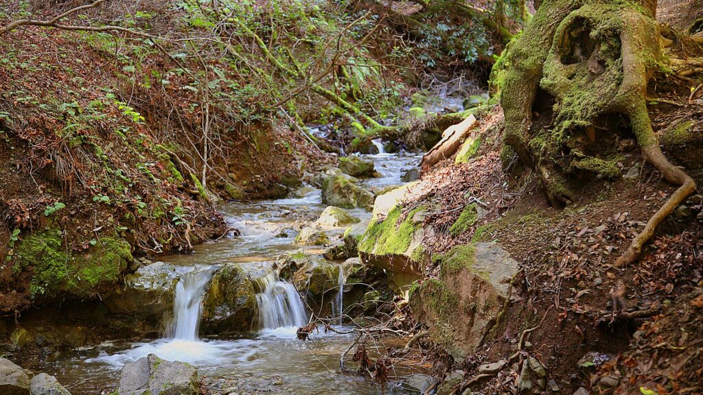 Adobe Creek Adobe Creek