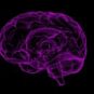 Cerveau humain. // Source : Pixabay Cerveau humain. // Source : Pixabay