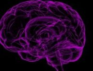 Cerveau humain. // Source : Pixabay