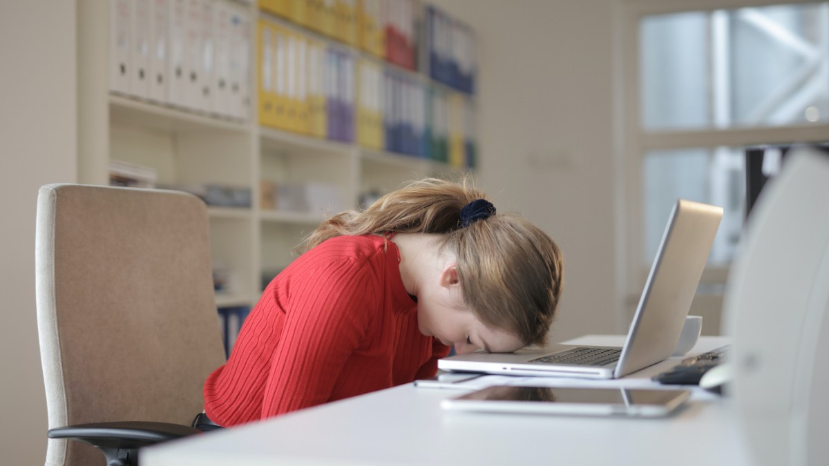 Réaction d'un cerveau humain devant faire un effort. // Source : Pexels/Andrea Piacquadio (photo recadrée) Réaction d'un cerveau humain devant faire un effort. // Source : Pexels/Andrea Piacquadio (photo recadrée)