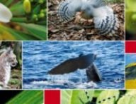 Source : IUCN