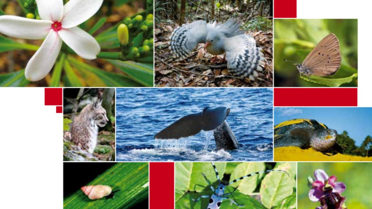 Source : IUCN Source : IUCN