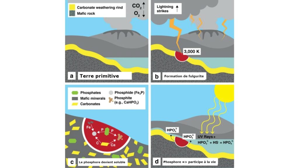 Les éclairs libèrent du phosphore sous forme soluble ce qui le rend disponible biologiquement pour participer à la formation de la vie. // Source : Nature Communications Les éclairs libèrent du phosphore sous forme soluble ce qui le rend disponible biologiquement pour participer à la formation de la vie. // Source : Nature Communications