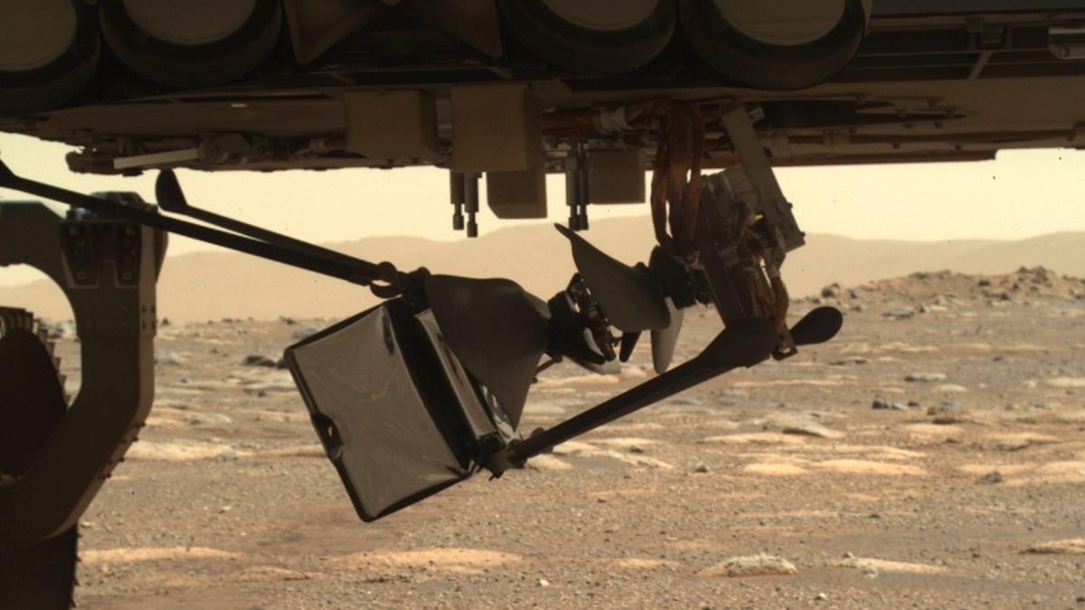 Ingenuity en partie déplié sous Perseverance. // Source : NASA/JPL-Caltech (photo recadrée) Ingenuity en partie déplié sous Perseverance. // Source : NASA/JPL-Caltech (photo recadrée)