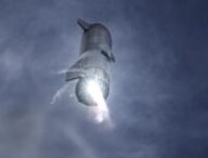 Starship SN10 // Source : SpaceX