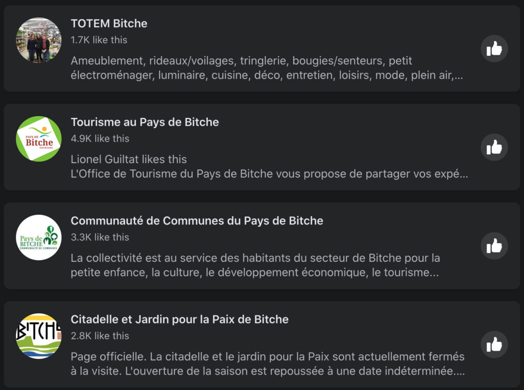 D'autres pages Facebook contenant le mot Bitche n'ont pas été supprimées  // Source : Capture d'écran Numerama