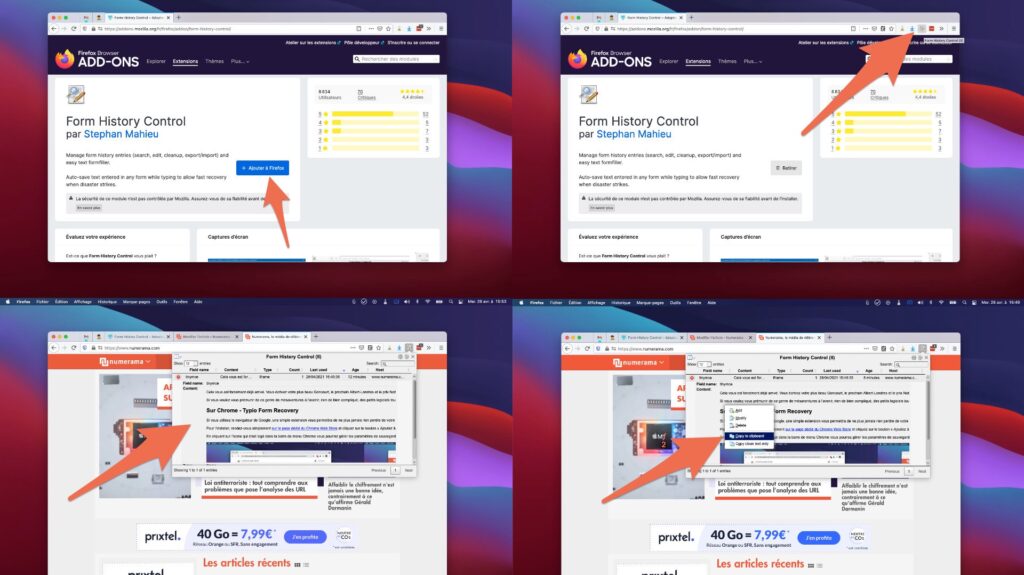 Form History Control vous permet de copier en texte ou en HTML // Source : Capture d'écran Numerama