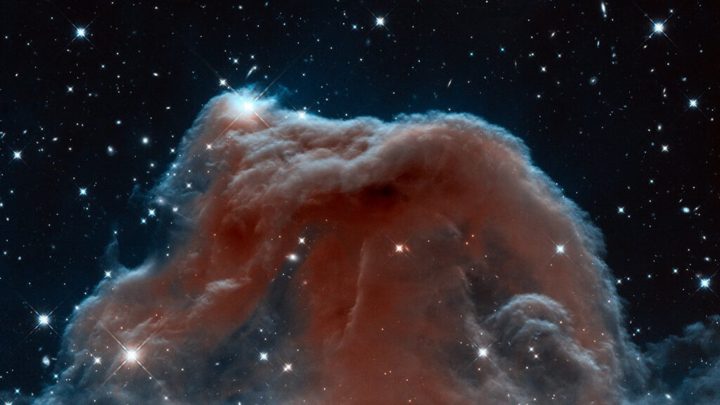Vue de la Nébuleuse de la Tête de Cheval // Source : ESA/Hubble Vue de la Nébuleuse de la Tête de Cheval // Source : ESA/Hubble