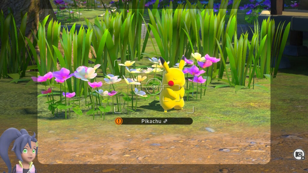 New Pokémon Snap // Source : Capture Switch New Pokémon Snap // Source : Capture Switch
