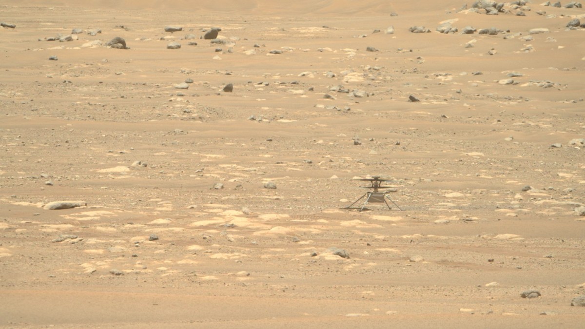 Ingenuity sur Mars le 30 avril 2021. // Source : NASA/JPL-Caltech/ASU (photo recadrée) Ingenuity sur Mars le 30 avril 2021. // Source : NASA/JPL-Caltech/ASU (photo recadrée)