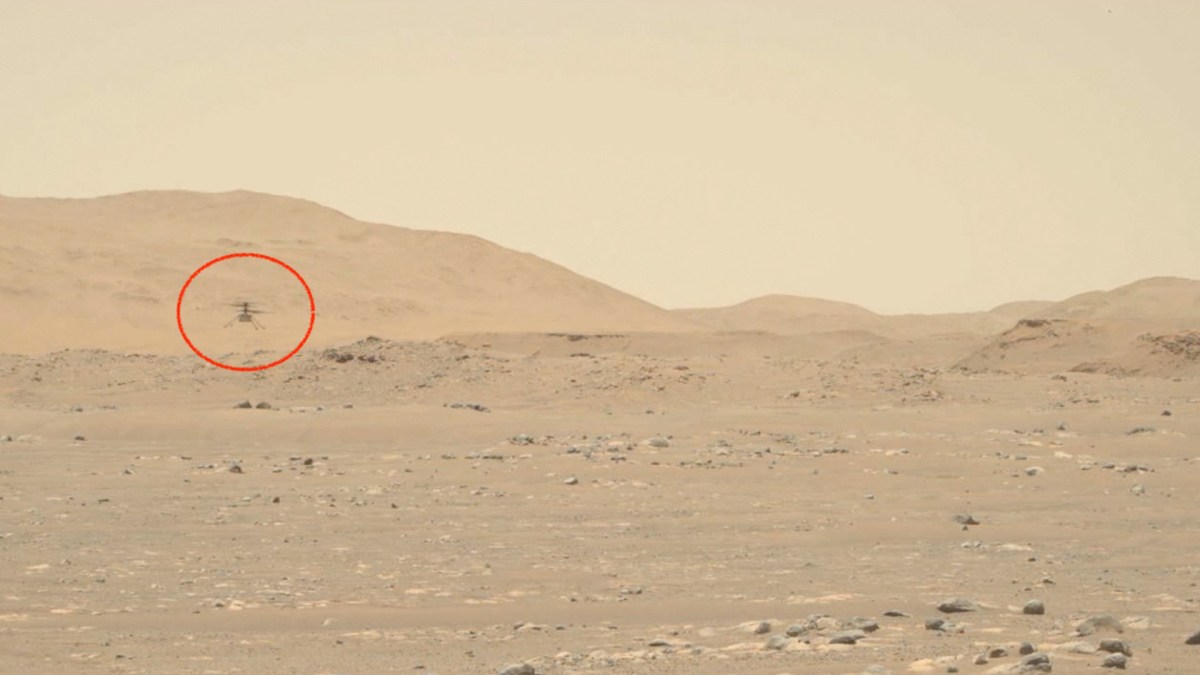 Ingenuity sur Mars le 25 avril 2021. // Source : NASA/JPL-Caltech/ASU/MSSS (annotation Numerama) Ingenuity sur Mars le 25 avril 2021. // Source : NASA/JPL-Caltech/ASU/MSSS (annotation Numerama)