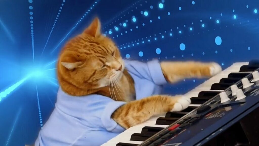 Keyboard Cat // Source : Numerama Keyboard Cat // Source : Numerama