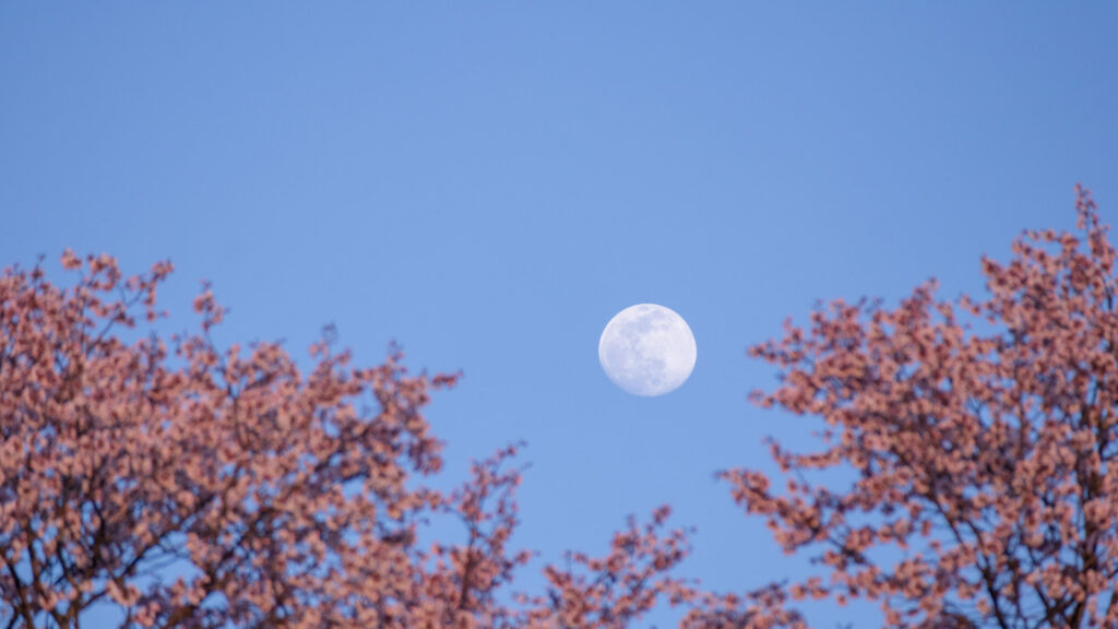 Nul besoin de l'afflubler de surnoms ridicules, la Lune est déjà très belle ainsi. // Source : Flickr/CC/hatake_s (photo recadrée) Nul besoin de l'afflubler de surnoms ridicules, la Lune est déjà très belle ainsi. // Source : Flickr/CC/hatake_s (photo recadrée)