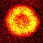 Source : Chin Lab