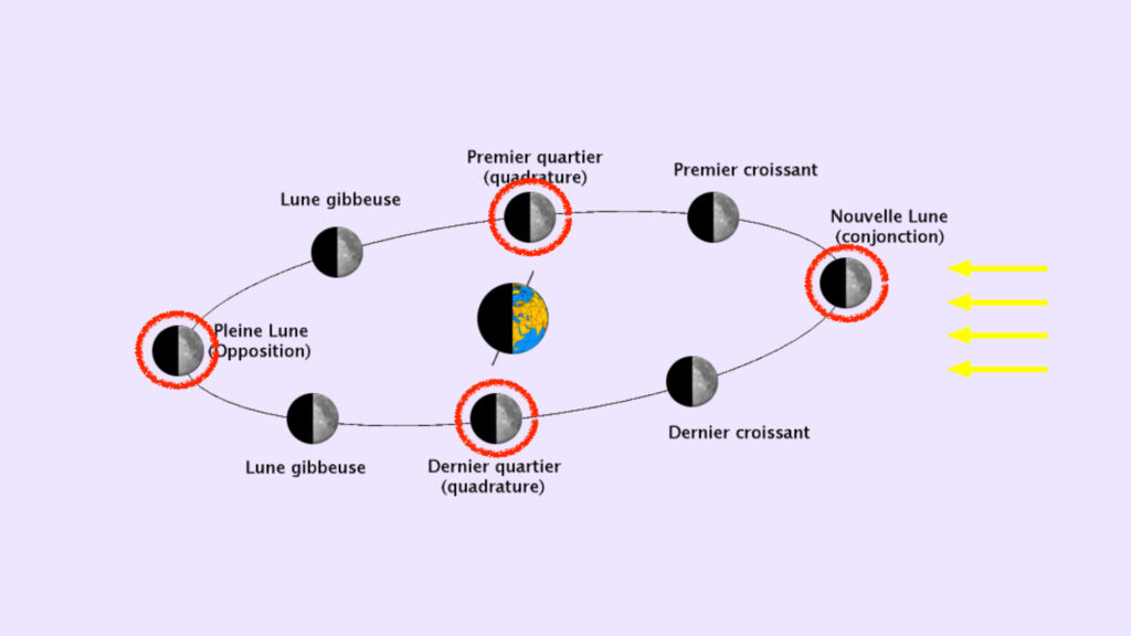 Schéma pour comprendre la position de la Terre et de la Lune, par rapport au Soleil. // Source : Wikimedia/CC/Looxix, annotation et fond Numerama Schéma pour comprendre la position de la Terre et de la Lune, par rapport au Soleil. // Source : Wikimedia/CC/Looxix, annotation et fond Numerama