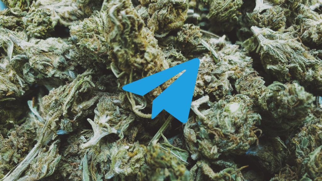 Sur Telegram, on trouve facilement de la drogue // Source : Numerama / Cambridge Jenkins IV Sur Telegram, on trouve facilement de la drogue // Source : Numerama / Cambridge Jenkins IV
