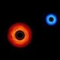 Trou noir binaire, visualisation de la Nasa. // Source : NASA’s Goddard Space Flight Center/Jeremy Schnittman and Brian P. Powell Trou noir binaire, visualisation de la Nasa. // Source : NASA’s Goddard Space Flight Center/Jeremy Schnittman and Brian P. Powell