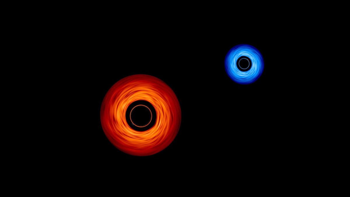 Trou noir binaire, visualisation de la Nasa. // Source : NASA’s Goddard Space Flight Center/Jeremy Schnittman and Brian P. Powell Trou noir binaire, visualisation de la Nasa. // Source : NASA’s Goddard Space Flight Center/Jeremy Schnittman and Brian P. Powell