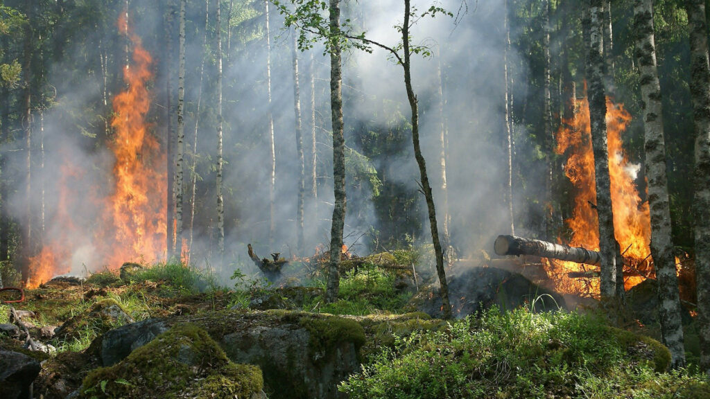 Dans le meilleur scénario étudié par l’Agence Européenne de l’Environnement, le risque d’incendie augmentera de 20 à 30% dans les zones les plus exposées. // Source : Ylver / Pixabay Dans le meilleur scénario étudié par l’Agence Européenne de l’Environnement, le risque d’incendie augmentera de 20 à 30% dans les zones les plus exposées. // Source : Ylver / Pixabay