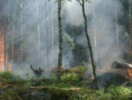 Dans le meilleur scénario étudié par l’Agence Européenne de l’Environnement, le risque d’incendie augmentera de 20 à 30% dans les zones les plus exposées. // Source : Ylver / Pixabay Dans le meilleur scénario étudié par l’Agence Européenne de l’Environnement, le risque d’incendie augmentera de 20 à 30% dans les zones les plus exposées. // Source : Ylver / Pixabay