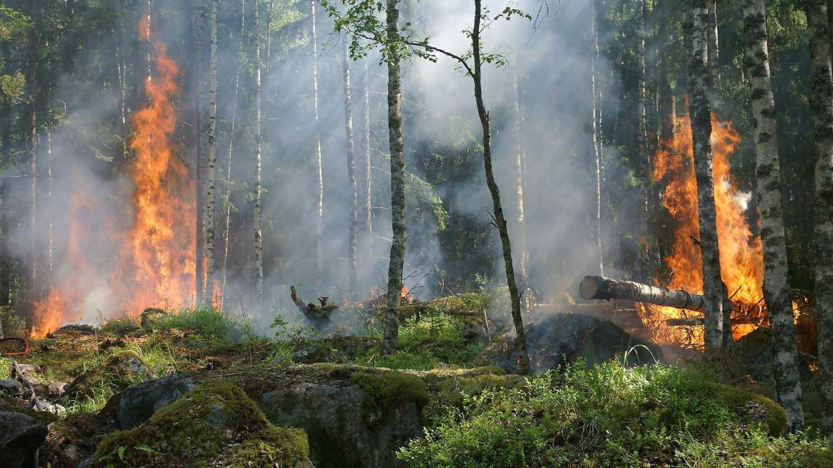 Dans le meilleur scénario étudié par l’Agence Européenne de l’Environnement, le risque d’incendie augmentera de 20 à 30% dans les zones les plus exposées. // Source : Ylver / Pixabay Dans le meilleur scénario étudié par l’Agence Européenne de l’Environnement, le risque d’incendie augmentera de 20 à 30% dans les zones les plus exposées. // Source : Ylver / Pixabay