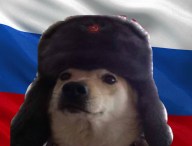 Le doge russe.  // Source : Pinterest