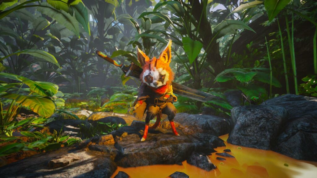 Biomutant // Source : Capture PS5 Biomutant // Source : Capture PS5