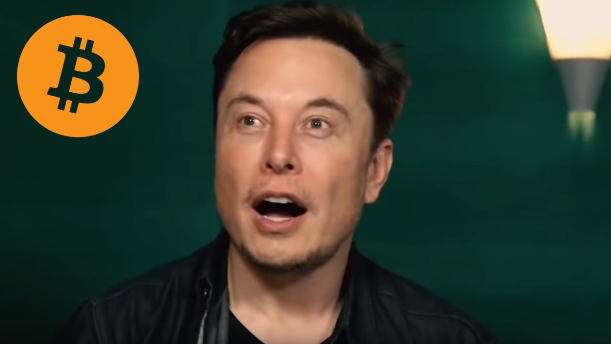 Un montage subtil d'Elon Musk avec un logo Bitcoin // Source : Capture d'écran YouTube / Comfy Boii Un montage subtil d'Elon Musk avec un logo Bitcoin // Source : Capture d'écran YouTube / Comfy Boii