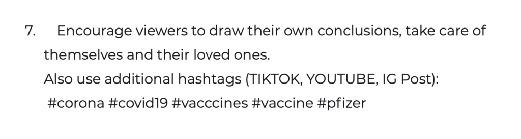 Le brief pour la campagne d'influence anti-Pfizer // Source : Capture d'écran Numerama