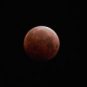 Éclipse de Lune du 26 mai 2021. // Source : Flickr/CC/Wilson Lam (photo recadrée) Éclipse de Lune du 26 mai 2021. // Source : Flickr/CC/Wilson Lam (photo recadrée)