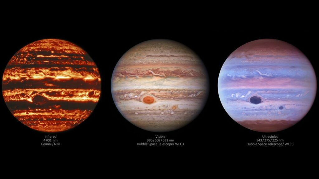 La planète Jupiter sous trois longueurs d'onde différentes. // Source : International Gemini Observatory/NOIRLab/NSF/AURA/NASA/ESA La planète Jupiter sous trois longueurs d'onde différentes. // Source : International Gemini Observatory/NOIRLab/NSF/AURA/NASA/ESA