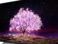 La TV LG OLED48C1.