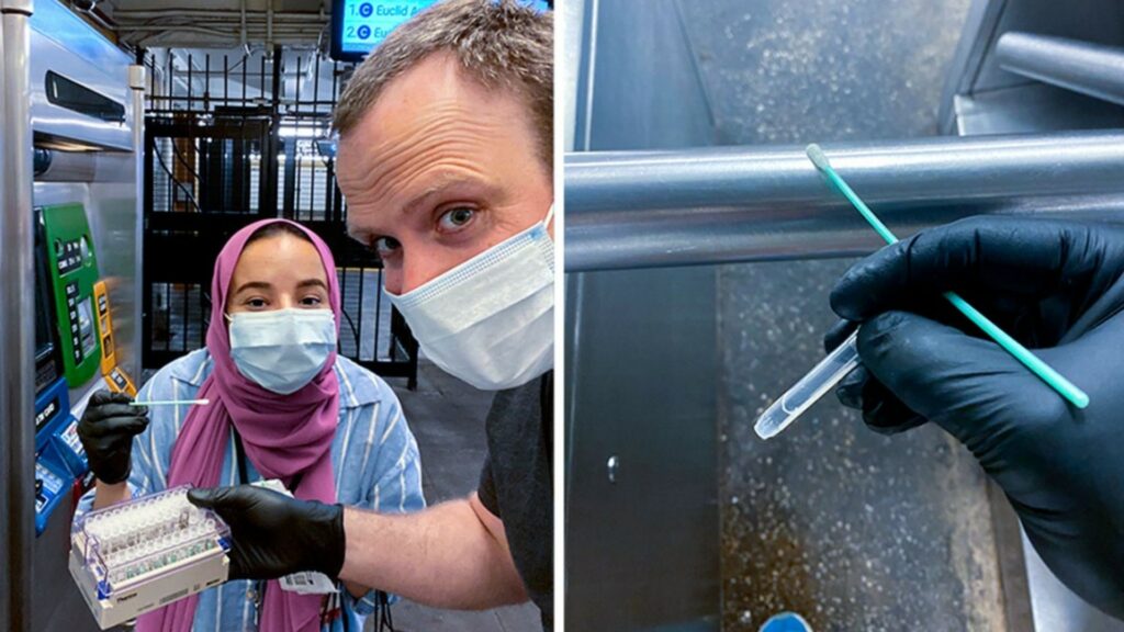 À gauche, l'étudiante Heba Shabaan en compagnie du Dr. Christopher Mason, en train de prélever un échantillon dans le métro new-yorkais. À droite, le prélèvement lui-même. // Source : Université Cornell À gauche, l'étudiante Heba Shabaan en compagnie du Dr. Christopher Mason, en train de prélever un échantillon dans le métro new-yorkais. À droite, le prélèvement lui-même. // Source : Université Cornell