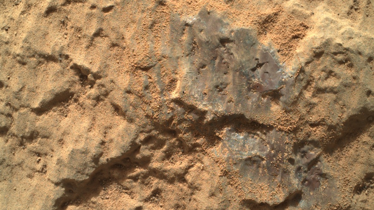 La surface de Mars observée avec WATSON par Perseverance. // Source : NASA/JPL-Caltech (photo recadrée) La surface de Mars observée avec WATSON par Perseverance. // Source : NASA/JPL-Caltech (photo recadrée)