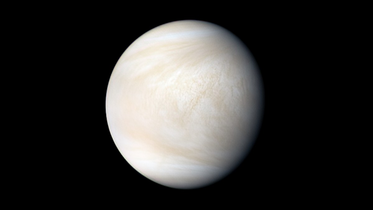 Vénus en 2018. // Source : Flickr/CC/Kevin Gill (photo recadrée) Vénus en 2018. // Source : Flickr/CC/Kevin Gill (photo recadrée)