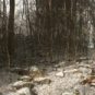 Abandoned // Source : Blue Box Game Studios Abandoned // Source : Blue Box Game Studios