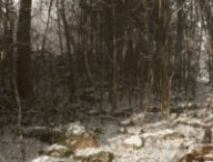 Abandoned // Source : Blue Box Game Studios Abandoned // Source : Blue Box Game Studios