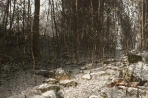 Abandoned // Source : Blue Box Game Studios Abandoned // Source : Blue Box Game Studios