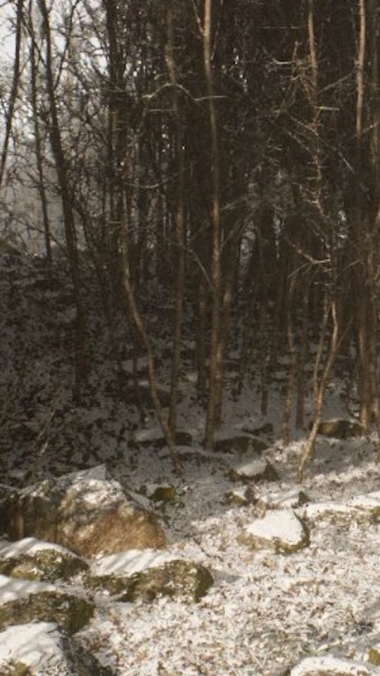Abandoned // Source : Blue Box Game Studios Abandoned // Source : Blue Box Game Studios