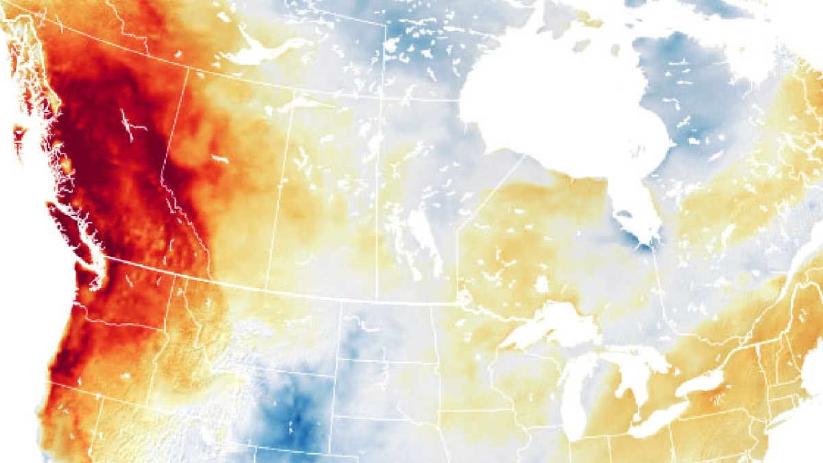 Source : Earth Observatory/Nasa Source : Earth Observatory/Nasa