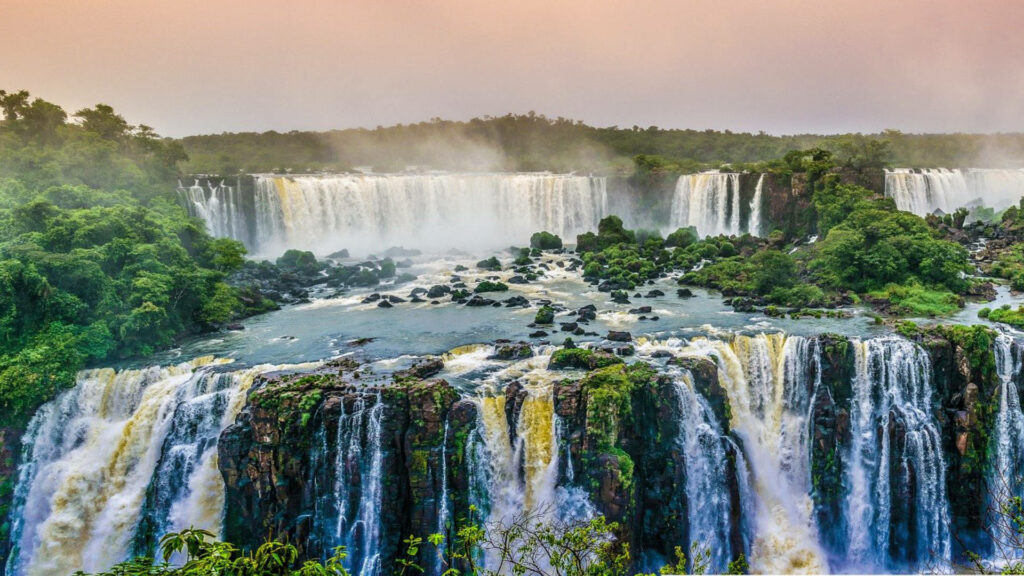 La baisse de la biodiversité accélère le changement climatique. // Source : Heiko Behn / Pixabay La baisse de la biodiversité accélère le changement climatique. // Source : Heiko Behn / Pixabay